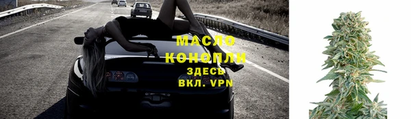 шишки Няндома