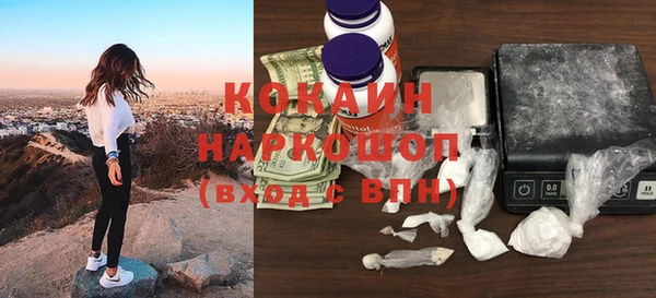 шишки Няндома