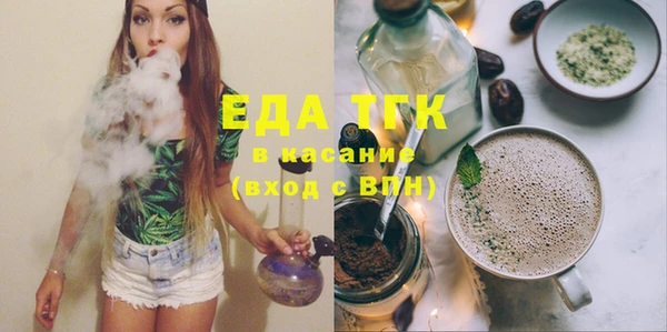 шишки Няндома