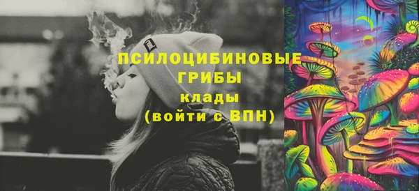 ГАЛЛЮЦИНОГЕННЫЕ ГРИБЫ Абдулино