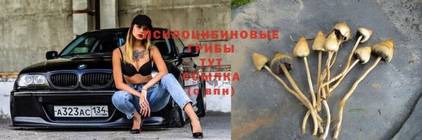 apvp Абинск