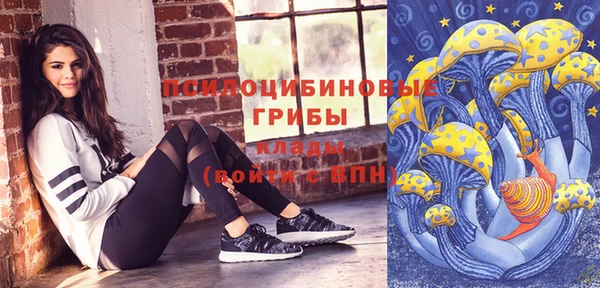 ГАЛЛЮЦИНОГЕННЫЕ ГРИБЫ Абдулино